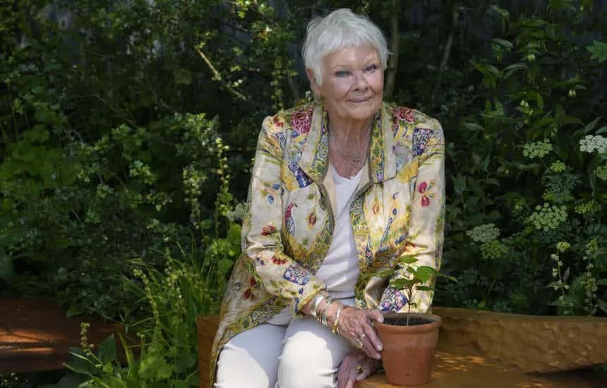 British actress finds she can no longer act: Eye disease also makes reading difficult