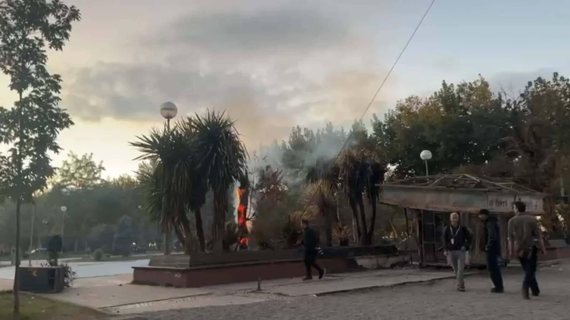 Day 15 of protest in Tirana, protesters set a tree on fire before prime minister