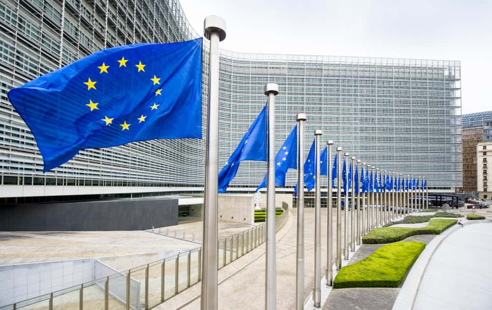 EC defends EP election observer delegation opposed by Serbia