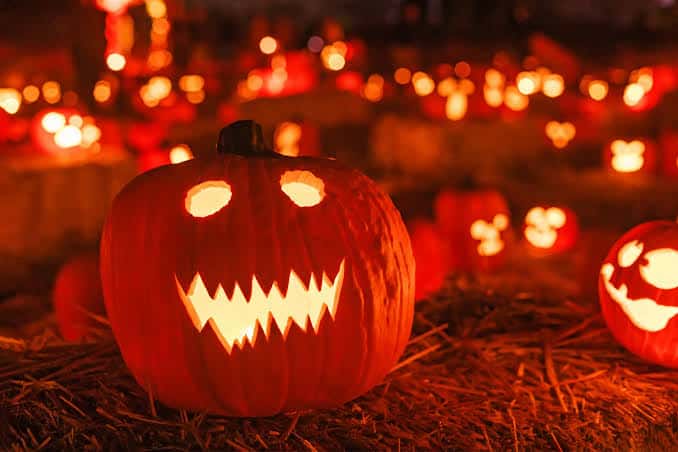 What is Halloween or Witch Night?
