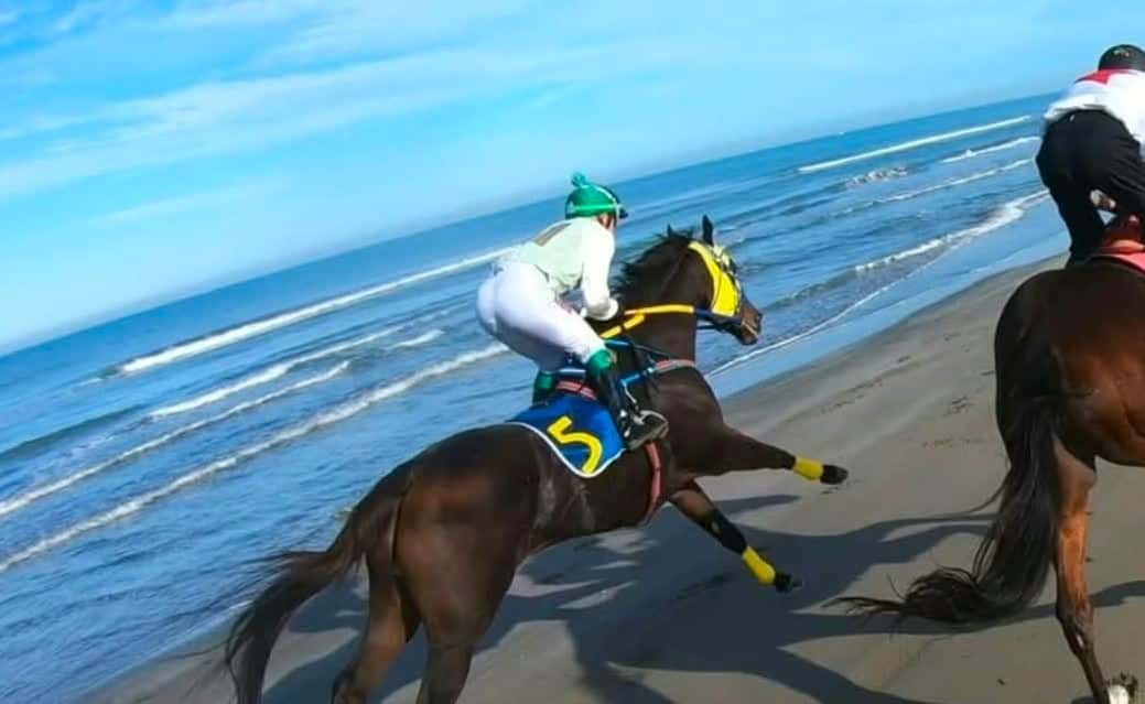Opoja’s Vazir wins ninth consecutive victory in speed contests
