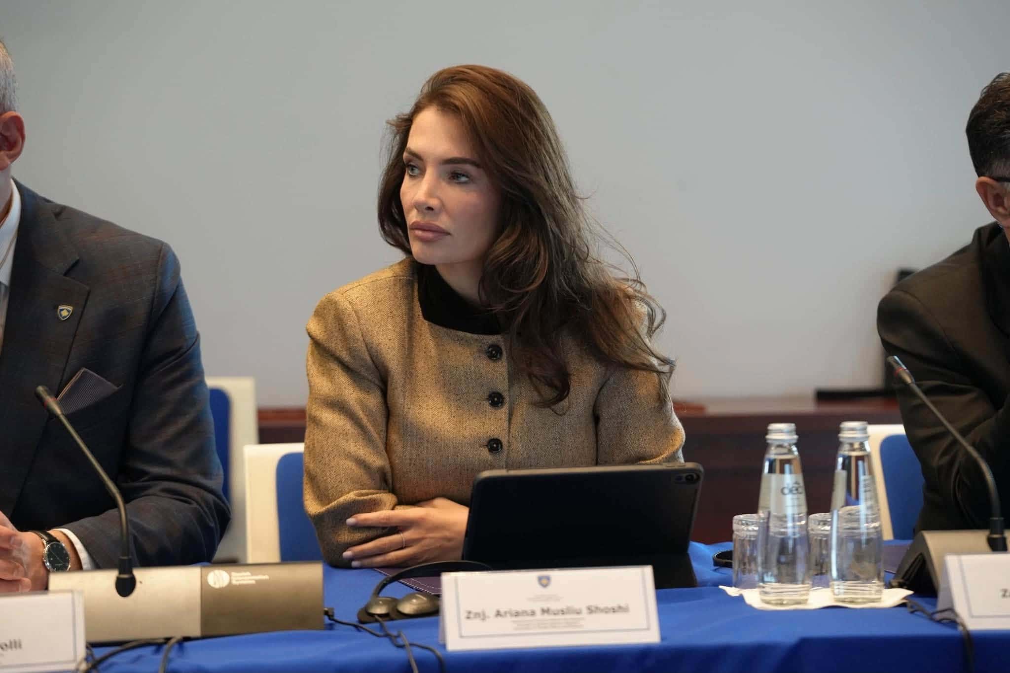 Musliu-Sashi raises concern over special decision at meeting with NATO Parliamentary Assembly delegation