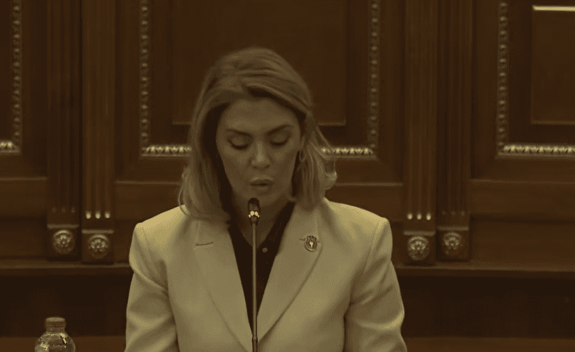 Deliu-Codra seeks independent mechanism for monitoring Specialised Chambers