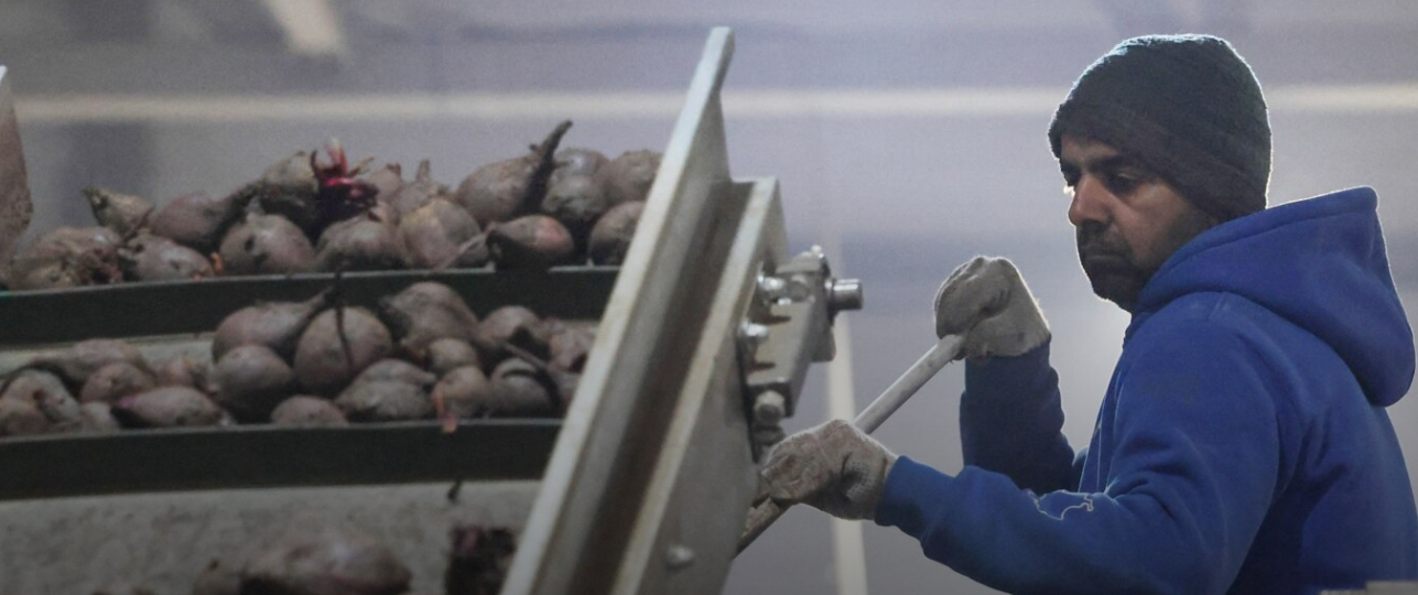 Lufta boshatis fabrikat: Rusia dhe Ukraina importojnë punëtorë nga Azia Jugore Lufta boshatis fabrikat: Rusia dhe Ukraina importojnë punëtorë nga Azia Jugore