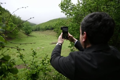 Kurti në natyrë, i duken interesant delet duke kullotur dhe gjelbërimi: Kjo është situatë ilire