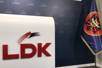 LDK në zgjedhje me numrin 113
