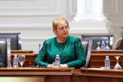 Janevska: Do të fillojmë licencimin e psikologëve për të zbuluar problemet në shkolla