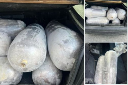 Dogana ndalon kontrabandimin e 200 kg mish në Glloboçicë