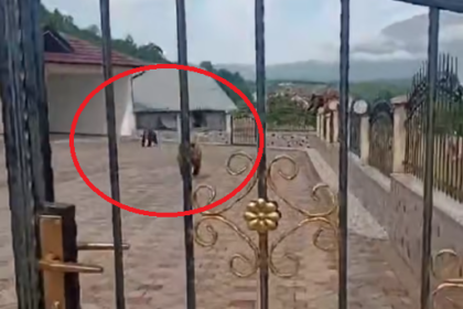 Tre arinj futen në oborrin e një shtëpie në Hoçë të Prizrenit
