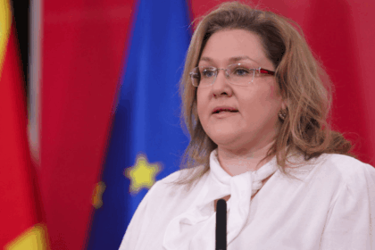 Petrovska: Dy vjet folëm brenda LSDM-së, propozimet dhe zgjidhjet u injoruan